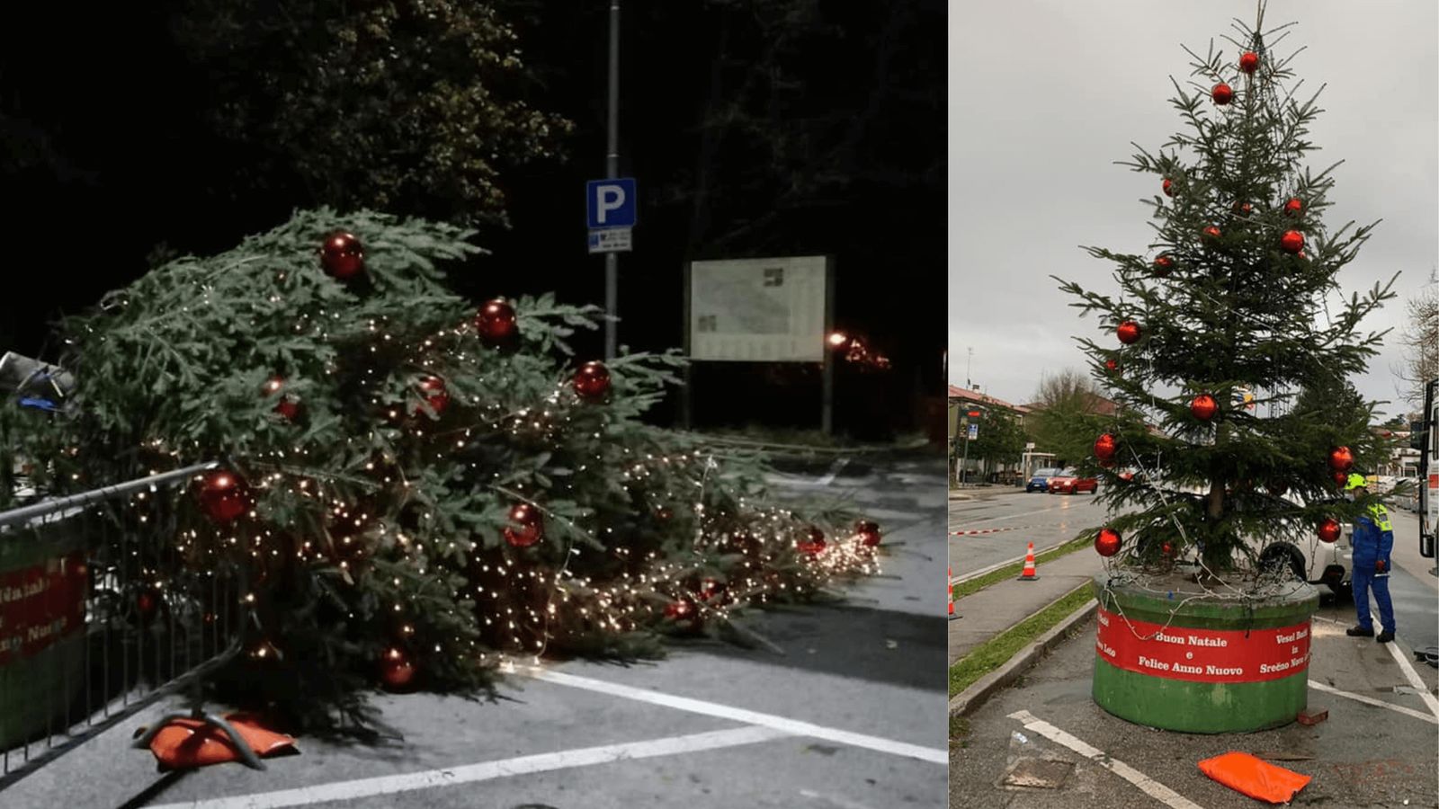 Immagine per Ripristinato in tempo record l'albero di Natale di Sistiana abbattutto ieri notte dai vandali 